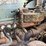#3509-•-freightliner-sleeper-cab-truck-tractor-image-25
