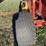 new-holland-br7090-image-22