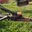 #1329-•-adam-leaning-steel-wheeled-grader-image-22