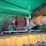 #3410-•-1974-oshkosh-p2025-1e1-plow-truck-image-45