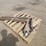 47"-reach-lift-forks-image-4