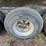 1981-kenworth-w900-image-74