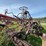 #1329-•-adam-leaning-steel-wheeled-grader-image-9