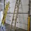 #9742-•-louisville-20'-extension-ladder-image-1