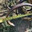eversman-3212-land-leveler-image-19