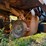 #3505-•-allis-chalmers-d-548-grader-image-45