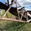 #3510-•-1988-approx-100'-conveyer-image-20