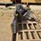 #9613-•-2009-bobcat-300-direct-drive-post-hole-digger-image-6
