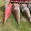 #1325-•-case-1063-(6)-row-corn-head-image-15