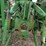 john-deere-950-image-15