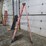 #9747-•-louisville-8'-step-ladder-image-2