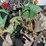 john-deere-1250-image-33
