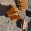 #55-•-giyi-gy-bk-12"-cat305-excavator-bucket-inv#55144-image-3