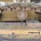 2003-caterpillar-d4g-xl-image-31