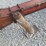 bush-hog-1445-image-10