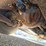 2000-caterpillar-3126-image-41