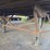 #3428-•-wabash-53'-dry-van-trailer-image-11