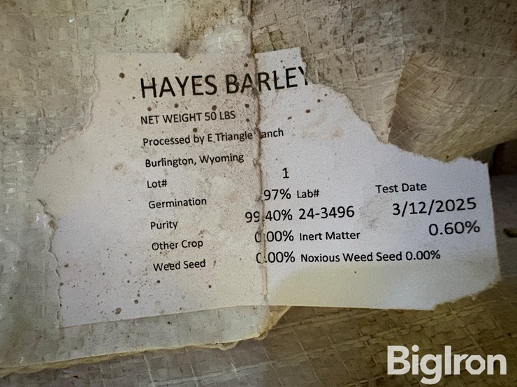 hayes-barley-seed-image-9