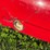 #1307-•-2001-volkswagon-beetle-(has-wi-title)-image-23