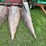 john-deere-6620-image-50