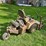grasshopper-618-image-5