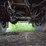 great-dane-48-image-23