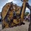 2008-john-deere-5603-image-35
