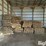 rough-cut-lumber-image-4