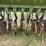 john-deere-12-image-12