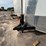 #1321-•-2021-diamond-cargo-enclosed-trailer-with-spray-foam-business-equipment-(no-title)-image-80