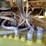 hoist-p360-image-32