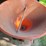#8733-•-icam-250-cone-seeder-image-11