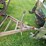 #8705-•-tandem-axle-dump-wagon-image-10