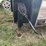 #1156-•-2015-40'-felling-step-deck-trailer-(wi-title-in-delay)-image-11