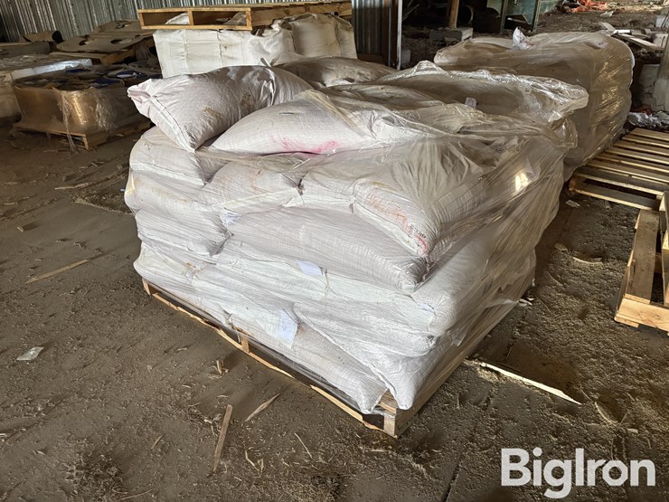 hayes-barley-seed-image-1