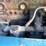 #3509-•-freightliner-sleeper-cab-truck-tractor-image-23