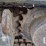 bobcat-e35i-image-13