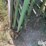 powder-river-portable-panels-w/gate-image-9