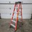 #9750-•-louisville-6'-step-ladder-image-1