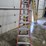 #9747-•-louisville-8'-step-ladder-image-5