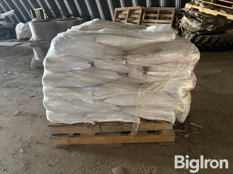 2025-hayes-barley-seed-image-4