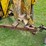 #8742-•-davis-3pt/skid-steer-backhoe-image-9