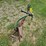 #8734-•-brinley-1b-3pt-plow-image-4
