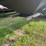 2020-cornhusker-hopper-bottom-image-16