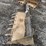 76”-skid-steer-tooth-bucket-image-2