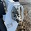 2018-bobcat-s550-image-11