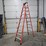 #9746-•-louisville-10'-step-ladder-image-1