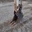 bobcat-e35i-image-24
