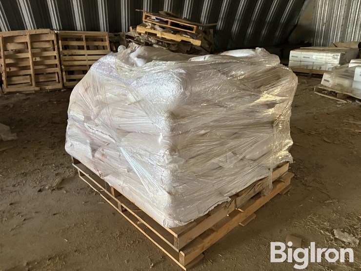 2025-hayes-barley-seed-image-5