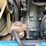 #3509-•-freightliner-sleeper-cab-truck-tractor-image-14
